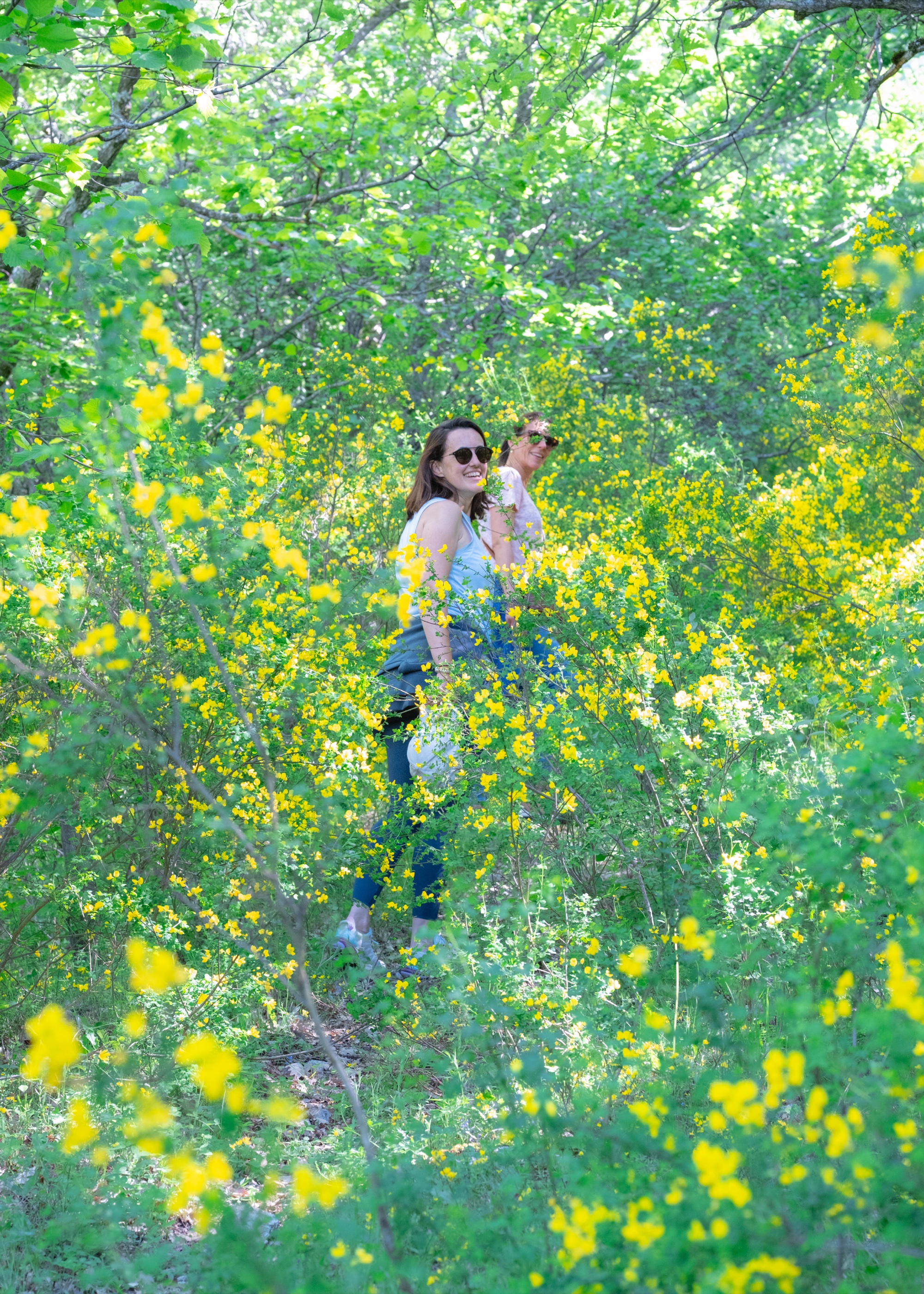 Balade en nature dans les fleurs