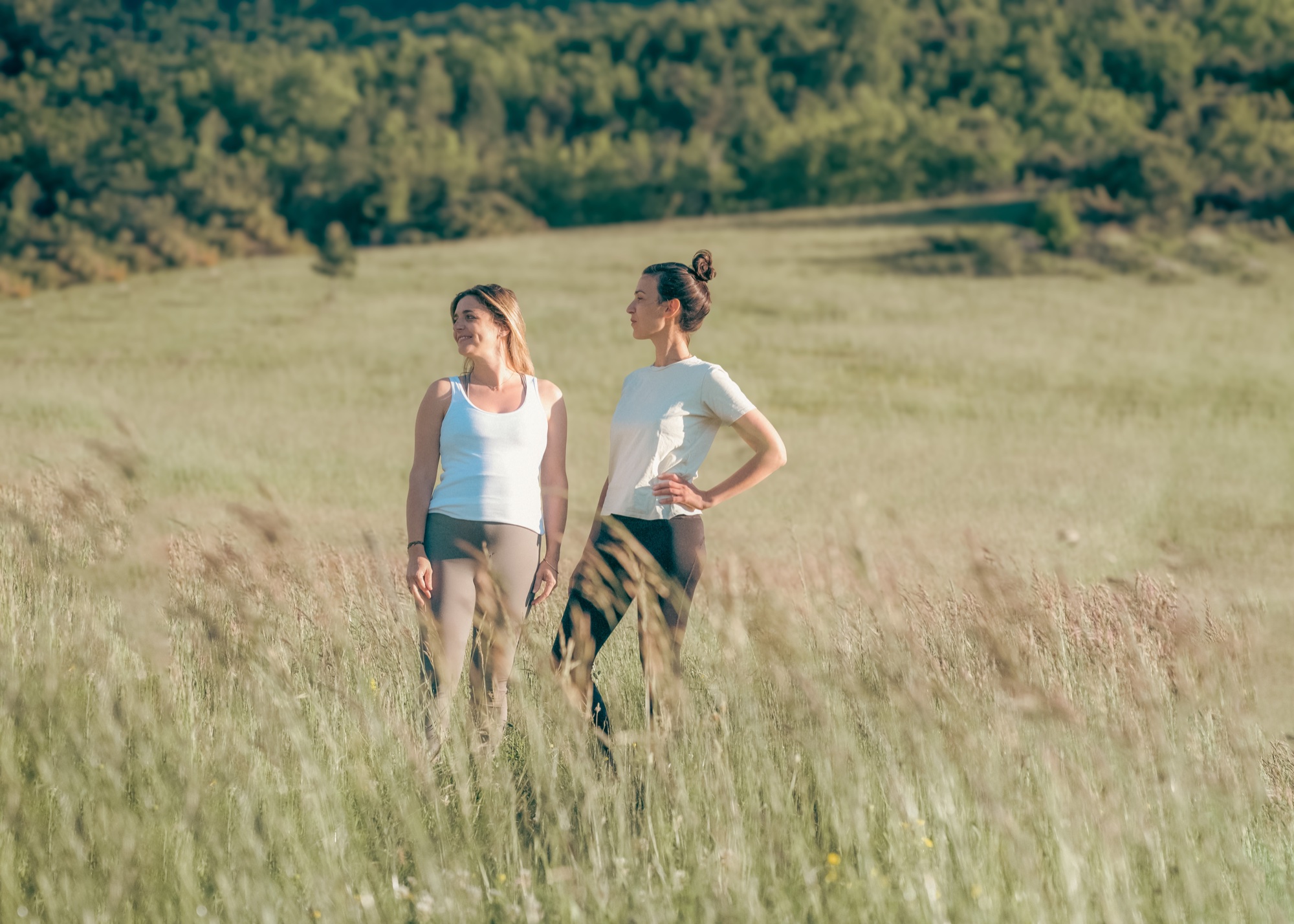 Marche dans les champs