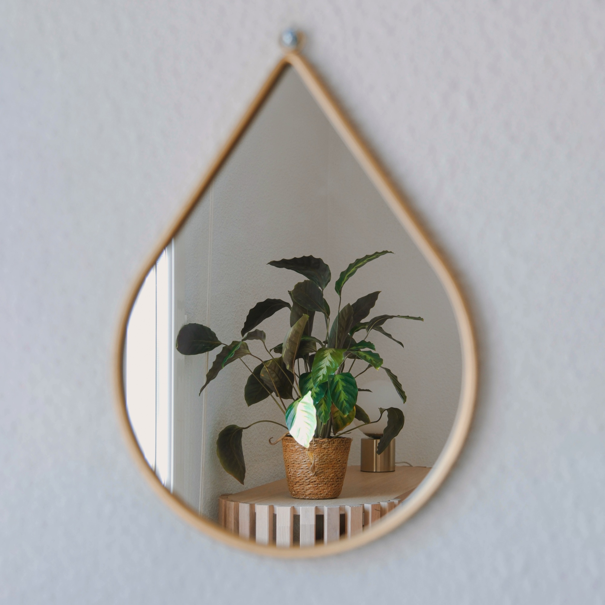 Ambiance cabinet - plante macramé